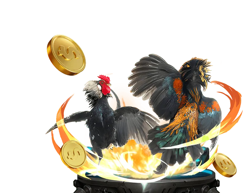 Đá gà trực tuyến 18win11